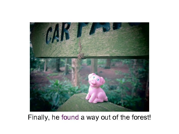 Finally, he found a way out of the forest! 