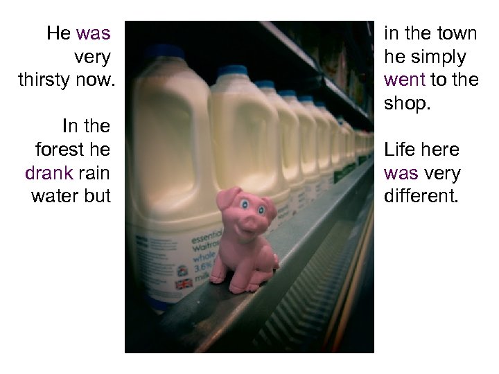 He was very thirsty now. In the forest he drank rain water but in