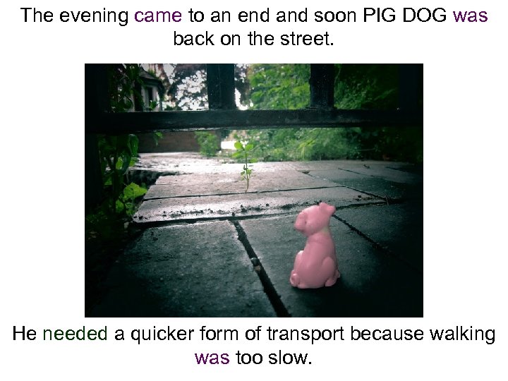 The evening came to an end and soon PIG DOG was back on the