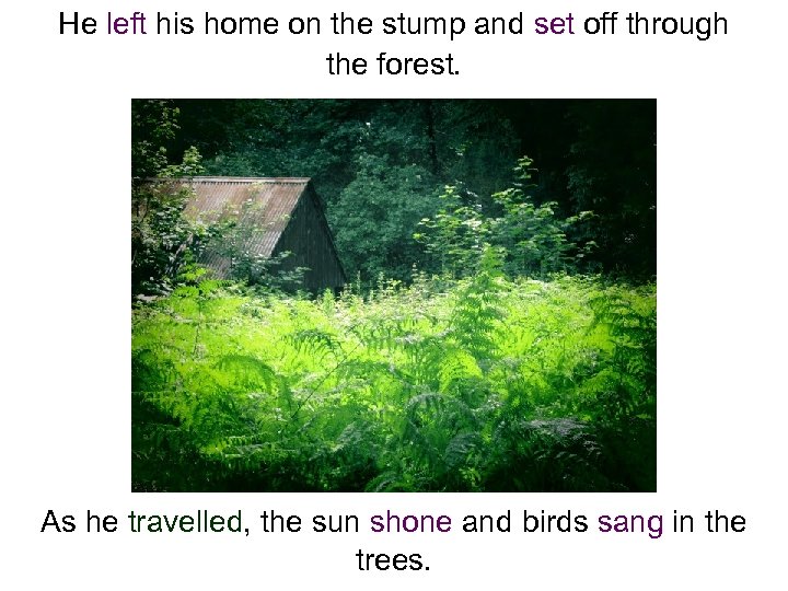 He left his home on the stump and set off through the forest. As