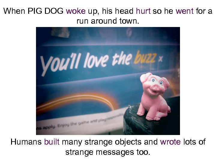 When PIG DOG woke up, his head hurt so he went for a run