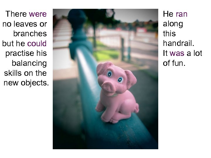 There were no leaves or branches but he could practise his balancing skills on