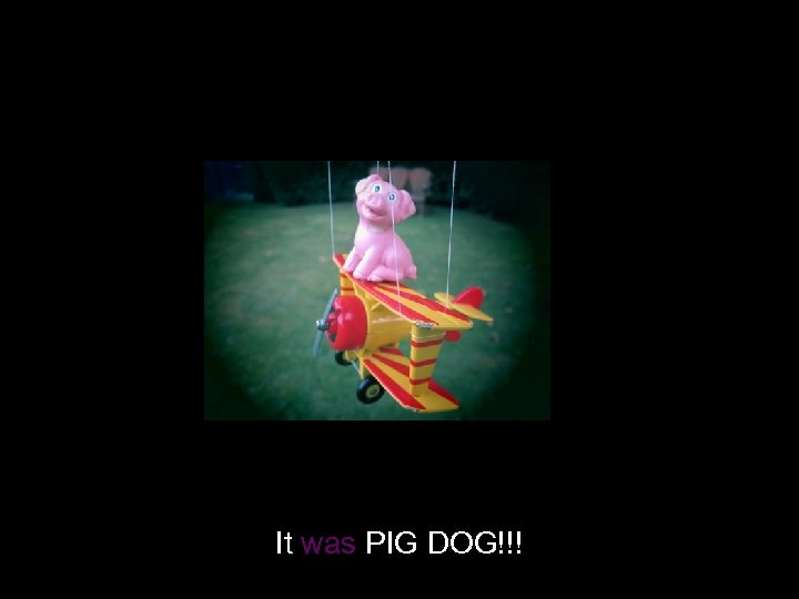 It was PIG DOG!!! 