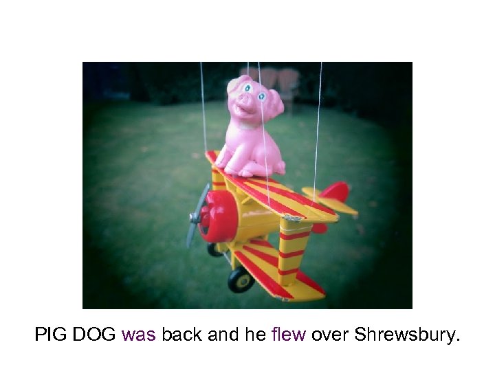 PIG DOG was back and he flew over Shrewsbury. 