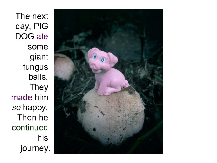 The next day, PIG DOG ate some giant fungus balls. They made him so