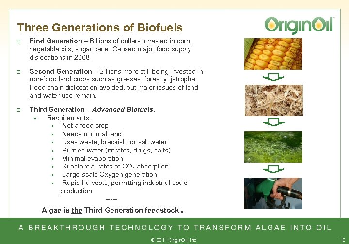 Three Generations of Biofuels q First Generation – Billions of dollars invested in corn,