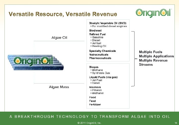 Versatile Resource, Versatile Revenue Multiple Fuels Multiple Applications Multiple Revenue Streams © 2011 Origin.