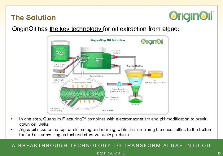 The Solution Origin. Oil has the key technology for oil extraction from algae: •