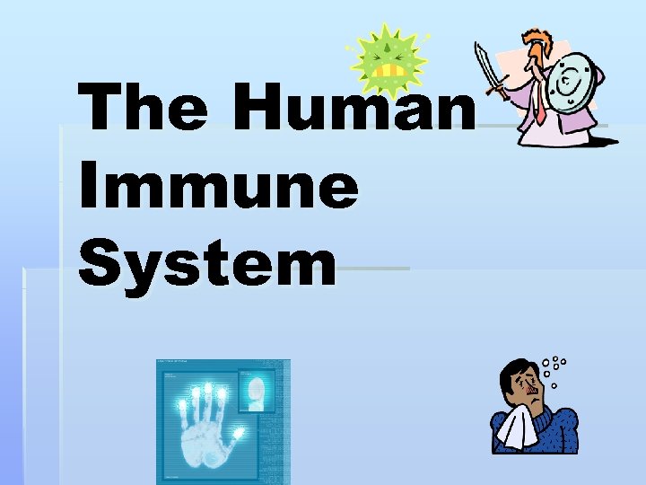 The Human Immune System 