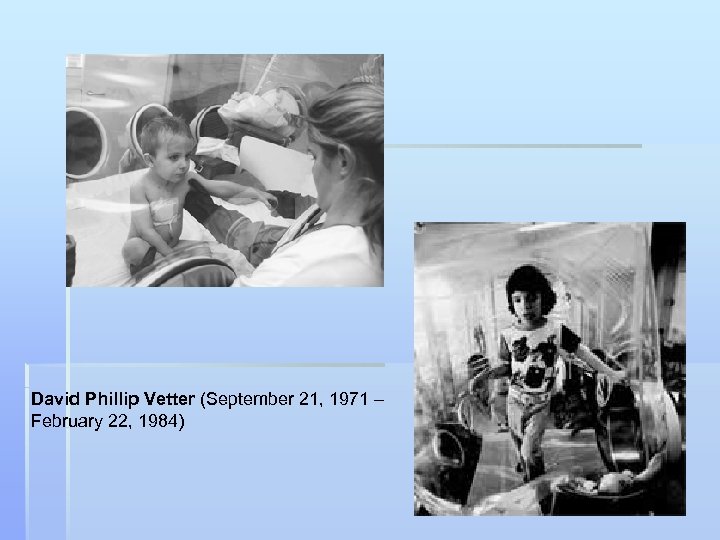 David Phillip Vetter (September 21, 1971 – February 22, 1984) 