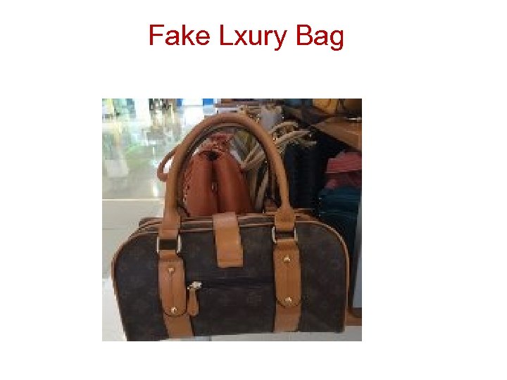 Fake Lxury Bag 