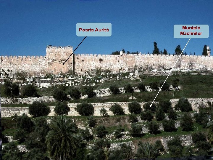 Poarta Aurită Muntele Măslinilor 