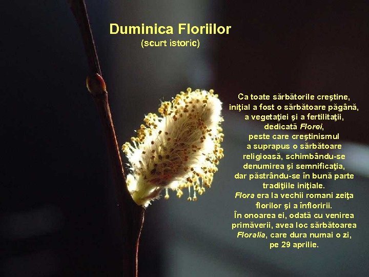 Duminica Floriilor (scurt istoric) Ca toate sărbătorile creştine, iniţial a fost o sărbătoare păgână,