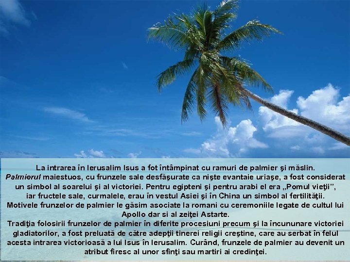 La intrarea în Ierusalim Isus a fot întâmpinat cu ramuri de palmier şi măslin.