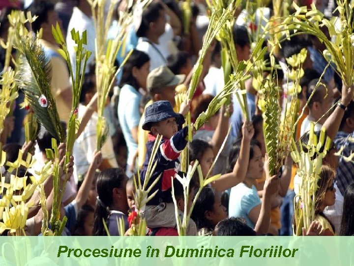 Procesiune în Duminica Floriilor 