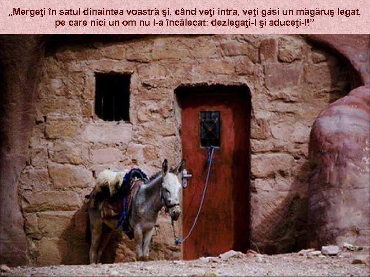 „Mergeţi în satul dinaintea voastră şi, când veţi intra, veţi găsi un măgăruş legat,