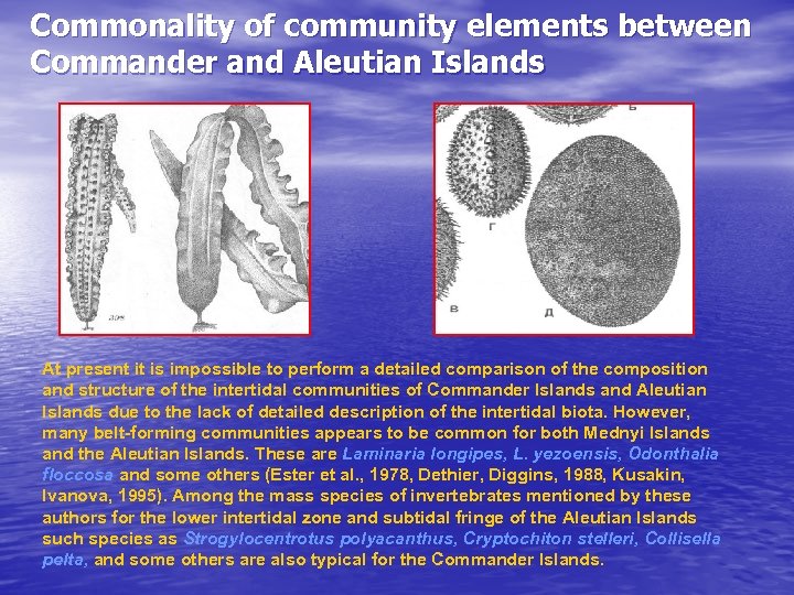 Commonality of community elements between Commander and Aleutian Islands At present it is impossible