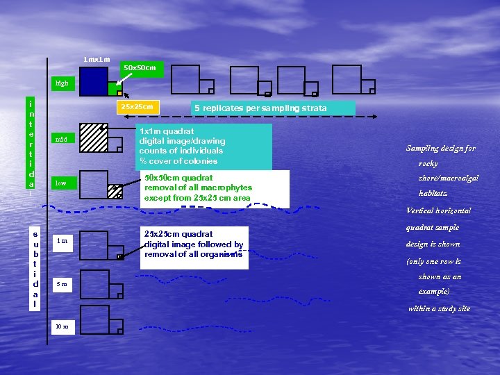 1 mx 1 m 50 x 50 cm high i n t e r