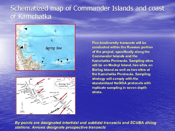 Schematized map of Commander Islands and coast of Kamchatka Bering Sea Five biodiversity transects