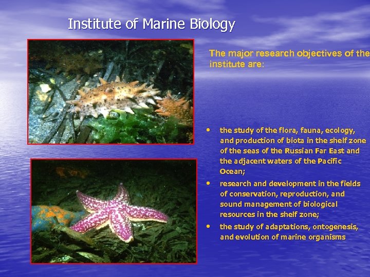 Institute of Marine Biology The major research objectives of the institute are: • the