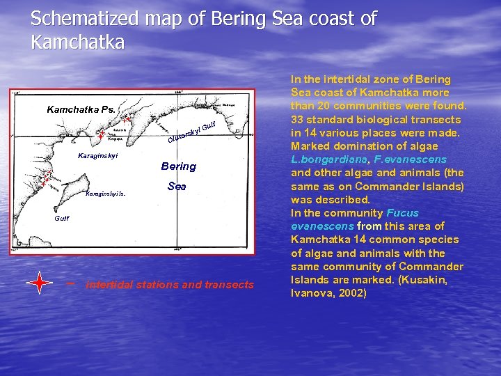 Schematized map of Bering Sea coast of Kamchatka Ps. lf i Gu y rsk