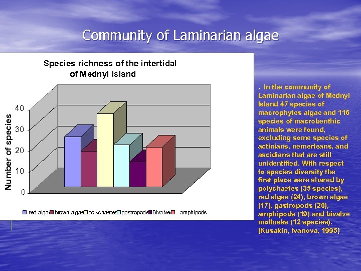 Community of Laminarian algae Species richness of the intertidal of Mednyi Island . Number