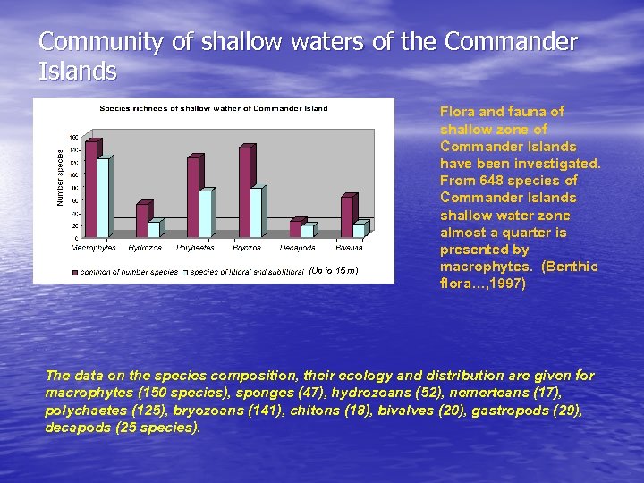 Community of shallow waters of the Commander Islands (Up to 15 m) Flora and