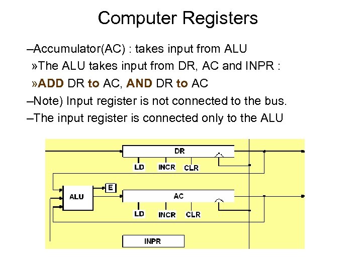 Computer Registers –Accumulator(AC) : takes input from ALU » The ALU takes input from