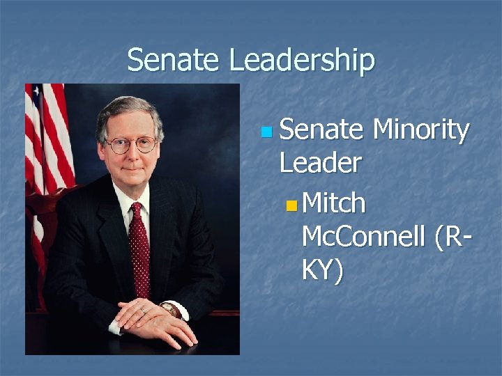 Senate Leadership n Senate Minority Leader n Mitch Mc. Connell (RKY) 