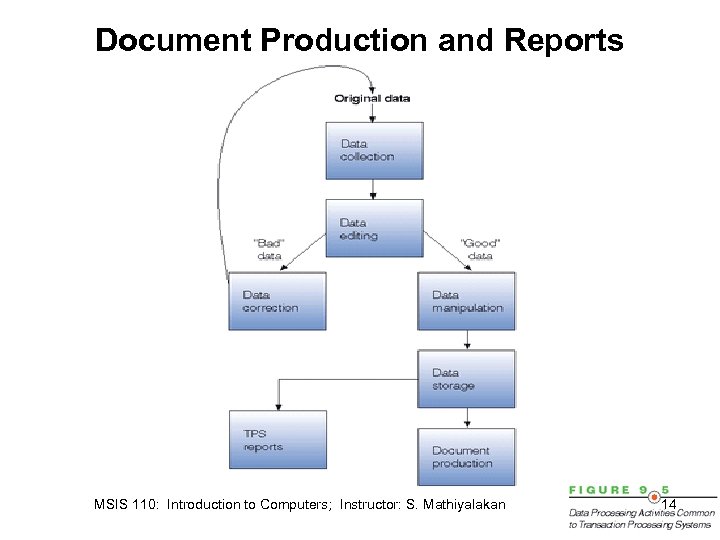 Document Production and Reports MSIS 110: Introduction to Computers; Instructor: S. Mathiyalakan 14 