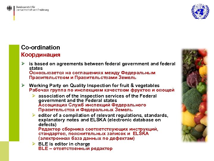 Co-ordination Координация Ø is based on agreements between federal government and federal states Основывается