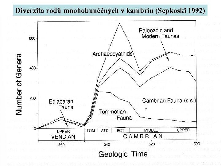 Diverzita rodů mnohobuněčných v kambriu (Sepkoski 1992) 