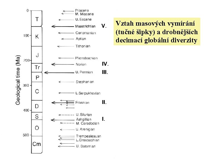 V. IV. III. I. Vztah masových vymírání (tučné šipky) a drobnějších decimací globální diverzity