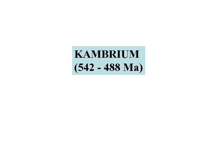 KAMBRIUM (542 - 488 Ma) 