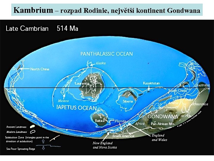 Kambrium – rozpad Rodinie, největší kontinent Gondwana 