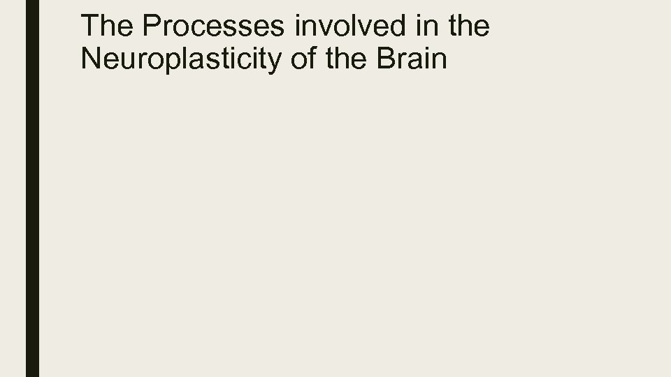 The Processes involved in the Neuroplasticity of the Brain 