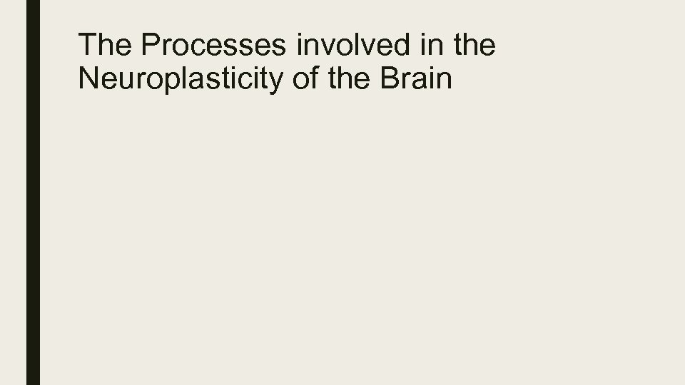 The Processes involved in the Neuroplasticity of the Brain 