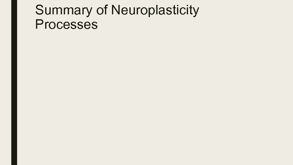 Summary of Neuroplasticity Processes 