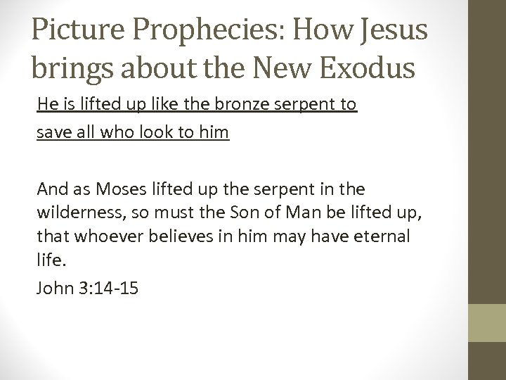 Picture Prophecies: How Jesus brings about the New Exodus He is lifted up like