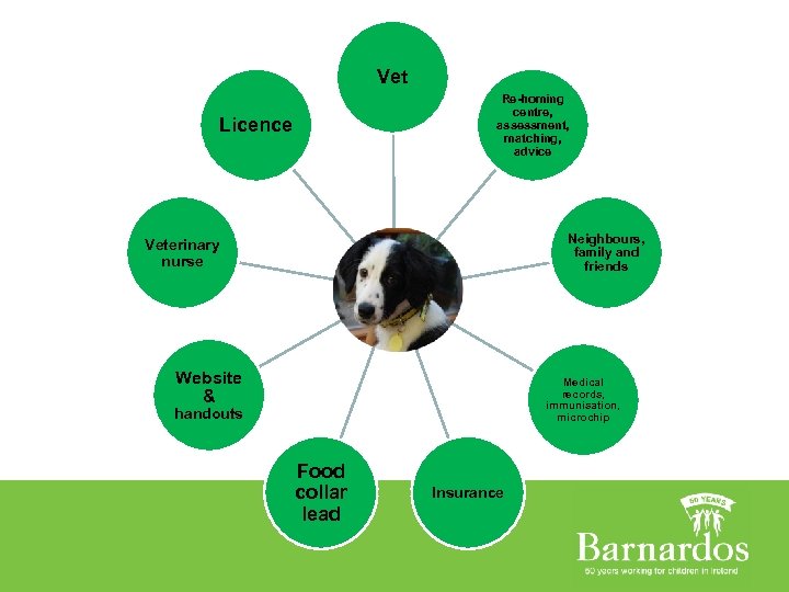 Vet Re-homing centre, assessment, matching, advice Licence Veterinary nurse Molly Website & Neighbours, family