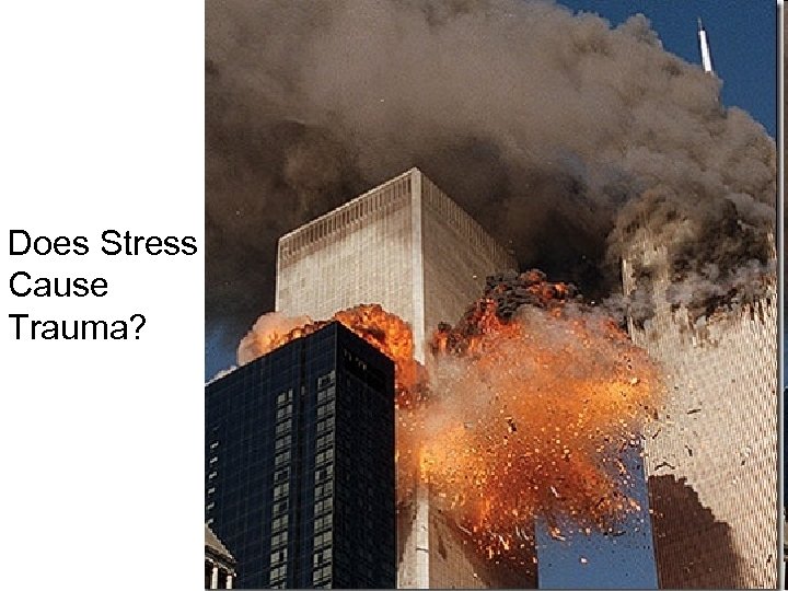 Does Stress Cause Trauma? 