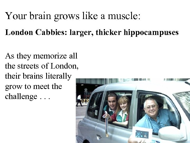 Your brain grows like a muscle: London Cabbies: larger, thicker hippocampuses As they memorize