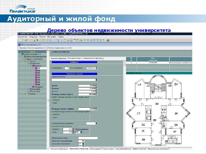 Аудиторный и жилой фонд Дерево объектов недвижимости университета 