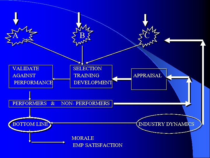 A VALIDATE AGAINST PERFORMANCE PERFORMERS & B SELECTION TRAINING DEVELOPMENT C APPRAISAL NON- PERFORMERS