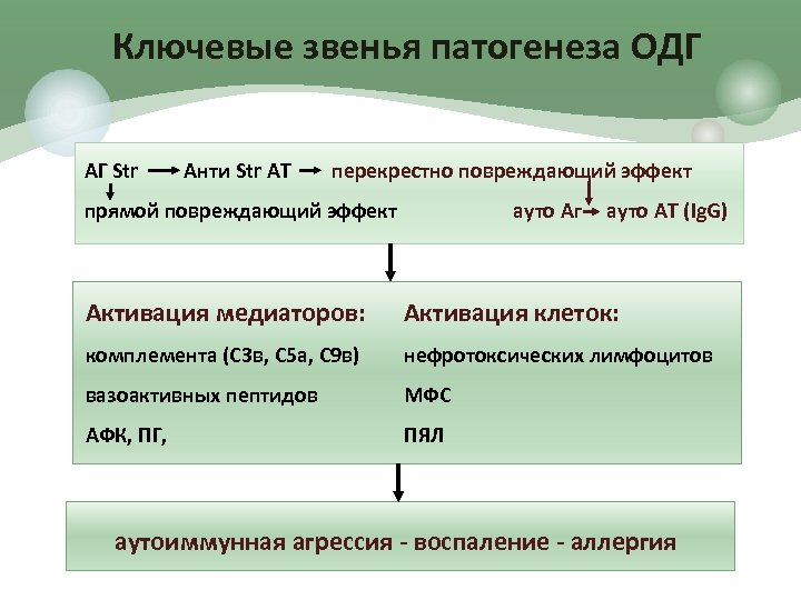 Ключевые звенья патогенеза ОДГ АГ Str Анти Str АТ перекрестно повреждающий эффект прямой повреждающий