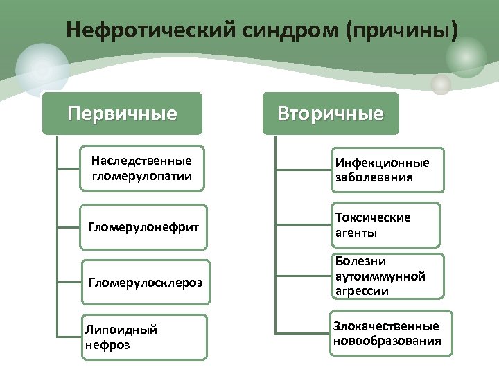 Нефротический синдром (причины) Первичные Вторичные Наследственные гломерулопатии Инфекционные заболевания Гломерулонефрит Токсические агенты Гломерулосклероз Болезни