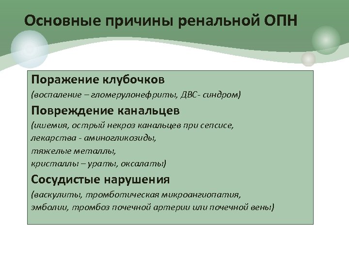 Основные причины ренальной ОПН Поражение клубочков (воспаление – гломерулонефриты, ДВС- синдром) Повреждение канальцев (ишемия,