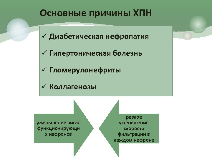 Основные причины ХПН ü Диабетическая нефропатия ü Гипертоническая болезнь ü Гломерулонефриты ü Коллагенозы уменьшение