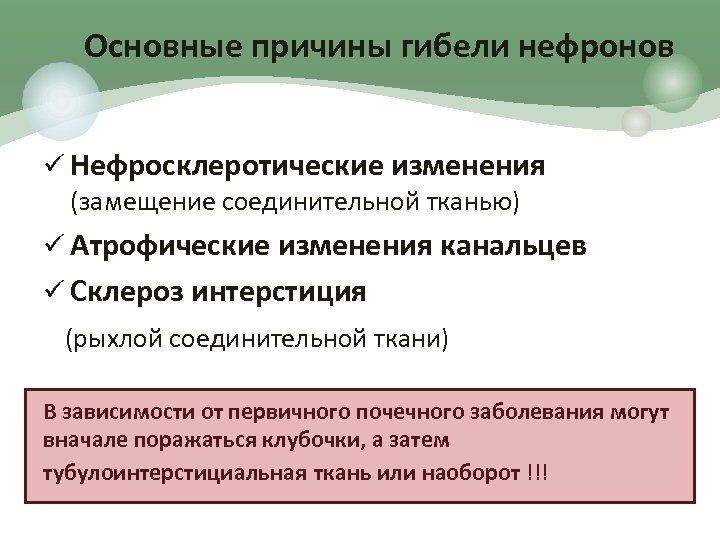 Основные причины гибели нефронов ü Нефросклеротические изменения (замещение соединительной тканью) ü Атрофические изменения канальцев