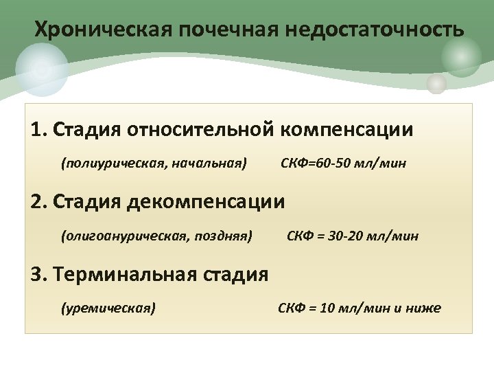 Хроническая почечная недостаточность 1. Стадия относительной компенсации (полиурическая, начальная) СКФ=60 -50 мл/мин 2. Стадия